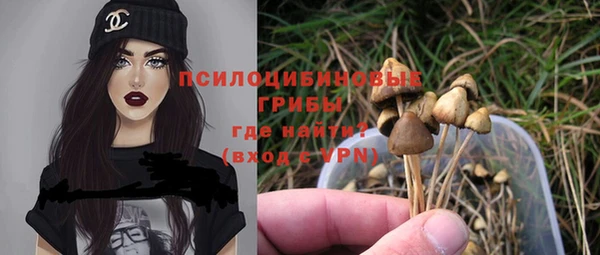 дурь Пестово