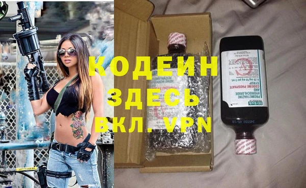 индика Переславль-Залесский