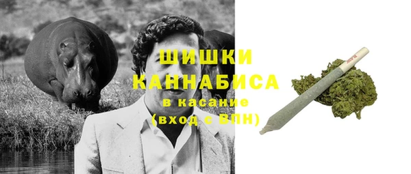 дурь Пестово