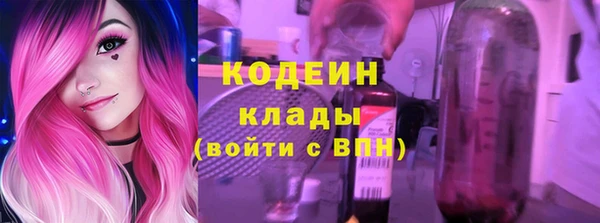 индика Переславль-Залесский