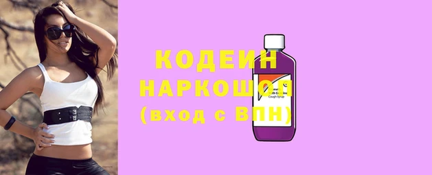 индика Переславль-Залесский