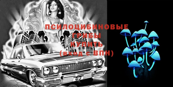 индика Переславль-Залесский