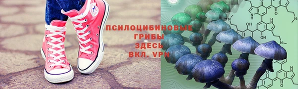 дурь Пестово