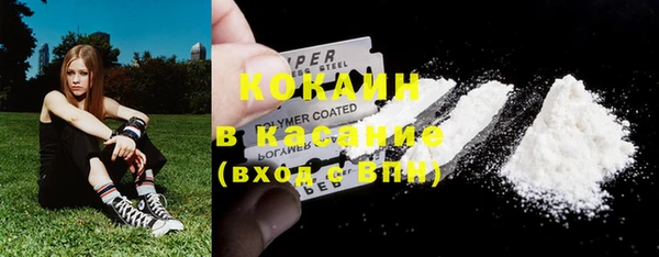 дурь Пестово